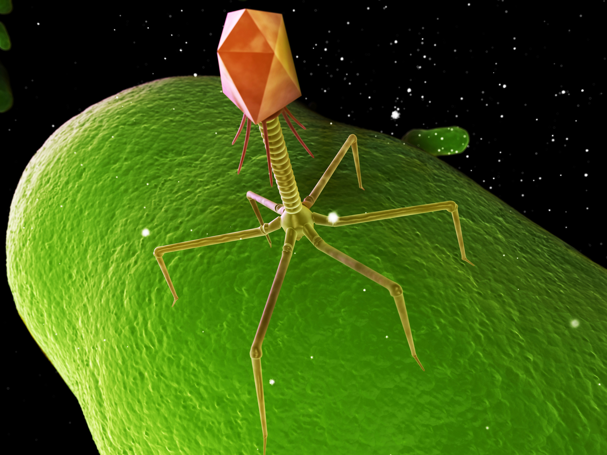 Phage getty images