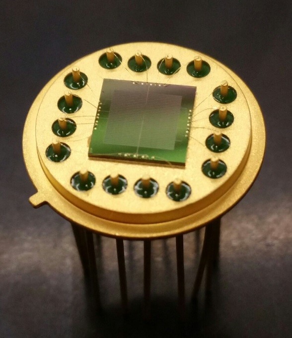 detector chip