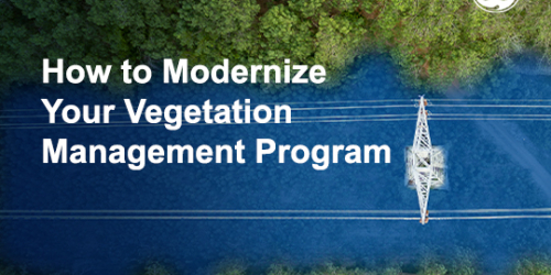 How to Modernize Your Vegetation Management Program | GE Digital webinar