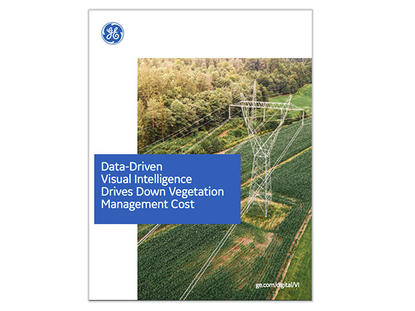 Data Drive Visual Intelligence Drives Down Vegetation Management Costs for Utilities