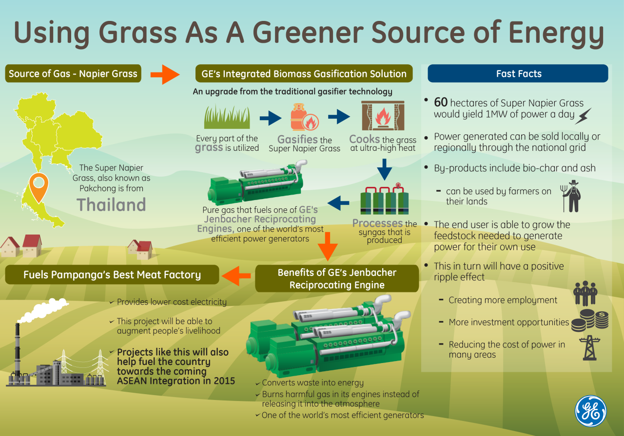Using Grass As A Greener Source of Energy GE News