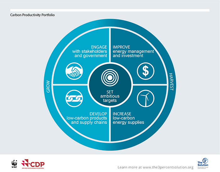 The Carbon Productivity Portfolio is a set of five practical actions, built on the experiences of leading companies. The five steps maximize carbon reduction and simultaneously create business value.