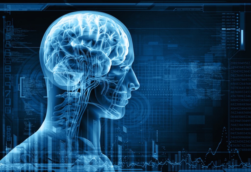 Does Your Brain Need a Few Reps at the Gym? 0