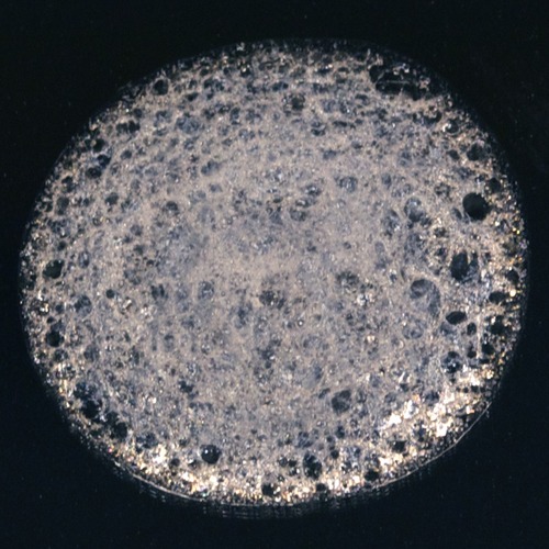 Science of Superheroes Swedish Scientists Make Amazing Spider Silk from Modified E.coli