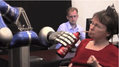 Mind-Controlled Robots Take Directions from Tiny Brain Implants 0