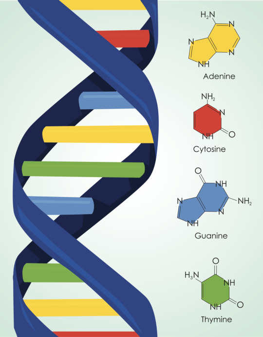 Human Protein Atlas GE News