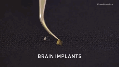 Brain GIf