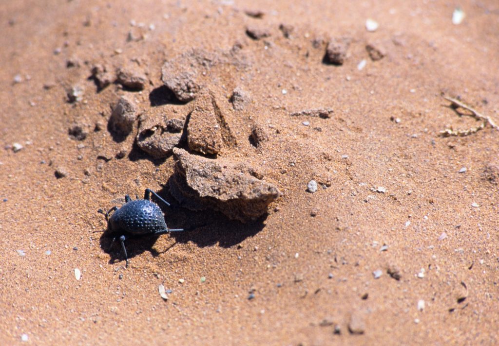 Namibia