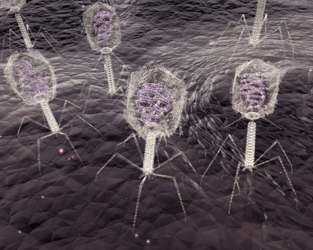 An up-close electron microscope style illustration of Bacteriophage Viruses infecting bacteria.