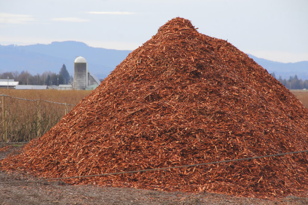 The Wood Chips Are Down GE Is Building A Massive Biomass Energy Plant