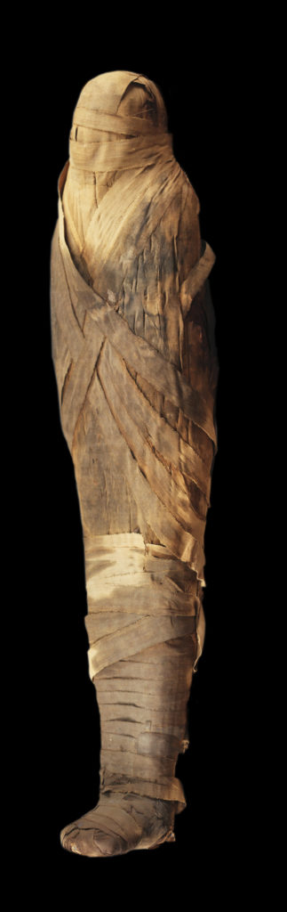 Mummy (wrapped) Ankhefenmut Dynasty 21, 1069-945 B.C. Bab el-Gasus, Egypt Albany Institute of History & Art, gift of Samuel Brown, 1909.18.1a