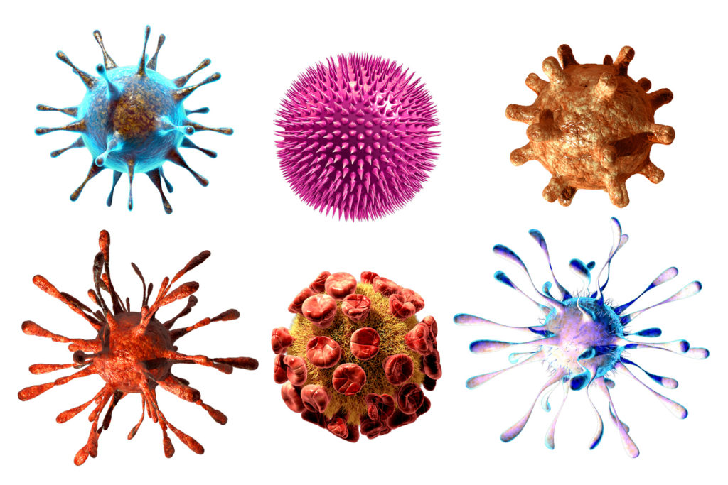 A Highly Detailed 3d medical illustration of virus, bacteria,microbe isolated on white background