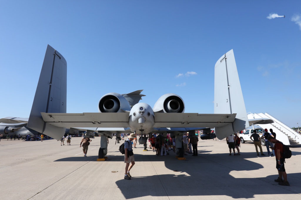 warthogJPEG image-92B7385C1EFB-24