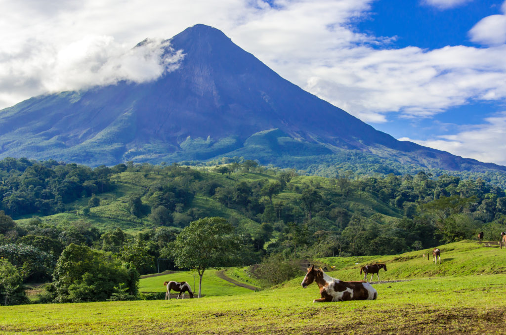 Vulcano Arenal - Beautiful Scenery with Horses on pasture in front of the vulcano