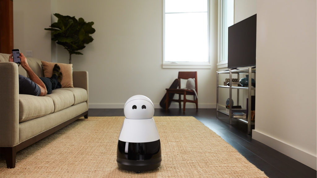 Are Service Robotics the Future of Home Automation?