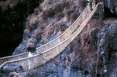 width=