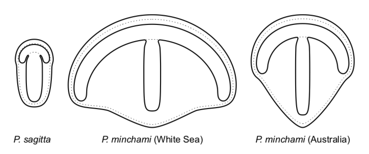 width=