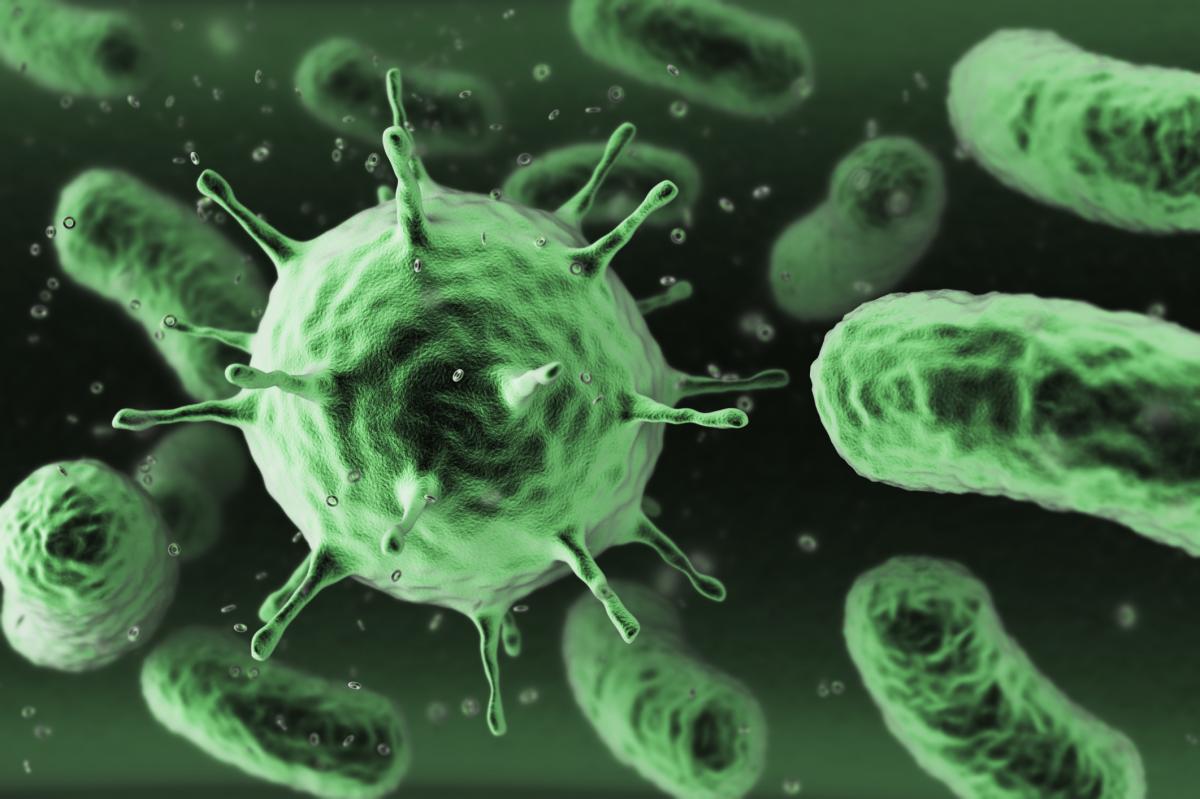 /></strong><br />
<br />
The world’s tiniest creatures might offer a&nbsp;<a href=