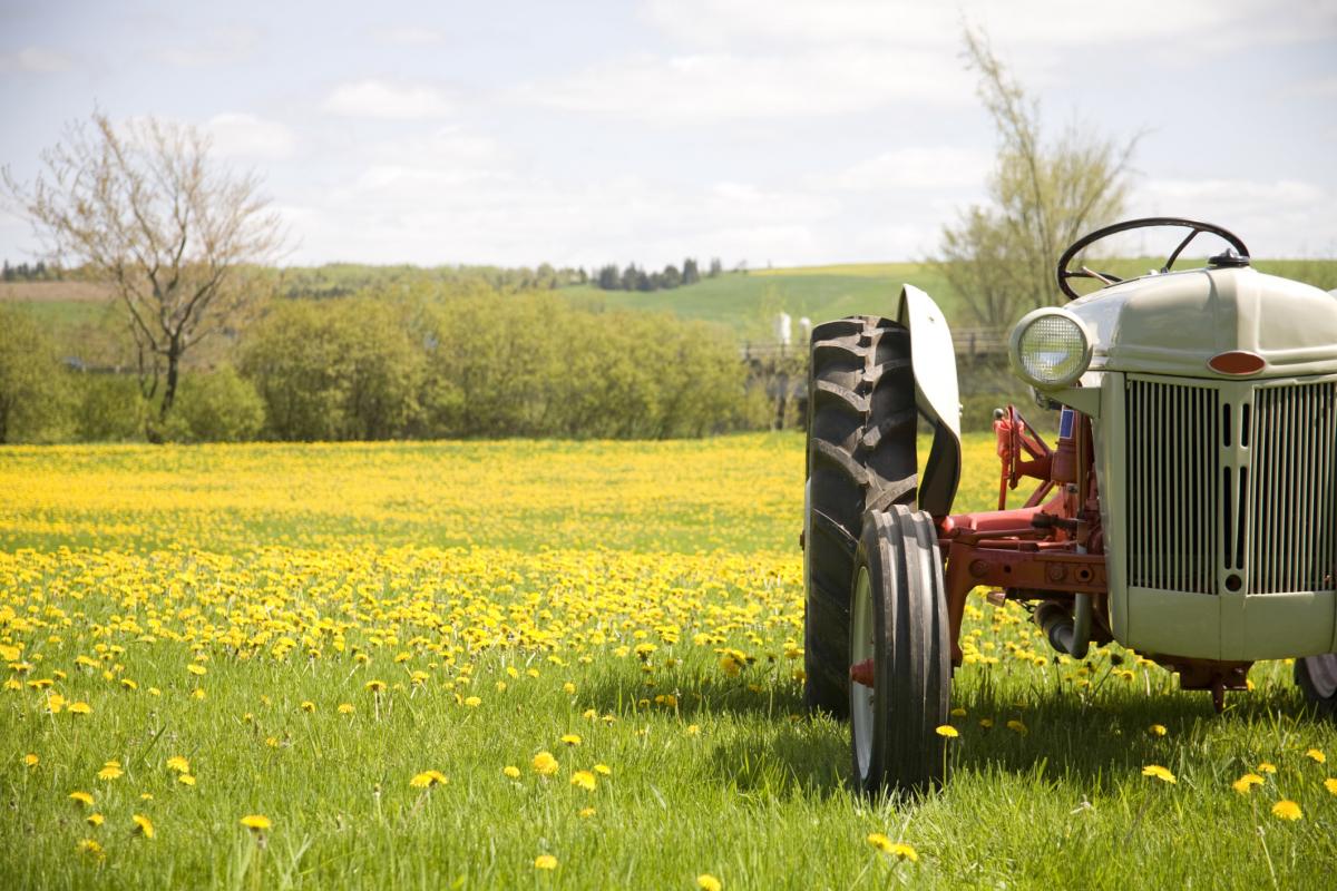 /><br />
<br />
Firstly, the tractor will make a comeback. As more developing economies race to move from bicycle to car and from tractor to high-rise, the world's most developed economies are moving back to the land. Witness Japan's boom in micro-farms - all run by ex-residents of big cities who want food security, a quieter life and a steady income on the side. This is a trend that will likely take hold in other G7 nations as wealth creation allows people to enjoy more pastoral living.<br />
<br />
Focus will move toward an old but desirable demographic. Companies are starting to realise that it's great to be 'down with the kids' but it's not that useful if the kids don't have money. We're likely to see a greater emphasis on talking to an older (retired), wealthier audience that have the funds to spend on property, new technology and travel. This will manifest itself in advertising executions, marketing initiatives and product development. Also, our image of the 60 year old is going to shift to a more youthful, aspirational expression of the 'silver set'.<br />
<br />
There will be a move back to centre. The rise of craft based manufacturing and 3D printing is going to force cities to rethink how they zone neighbhourhoods. With light industry long out of fashion in many city centres we're seeing more city halls thinking about how they re-zone in order to accommodate a new class of cleaner, more nimble manufacturers.<br />
<h2>Elizabeth Ann Macgregor OBE</h2><br />
<h3>Director, <em><a href=