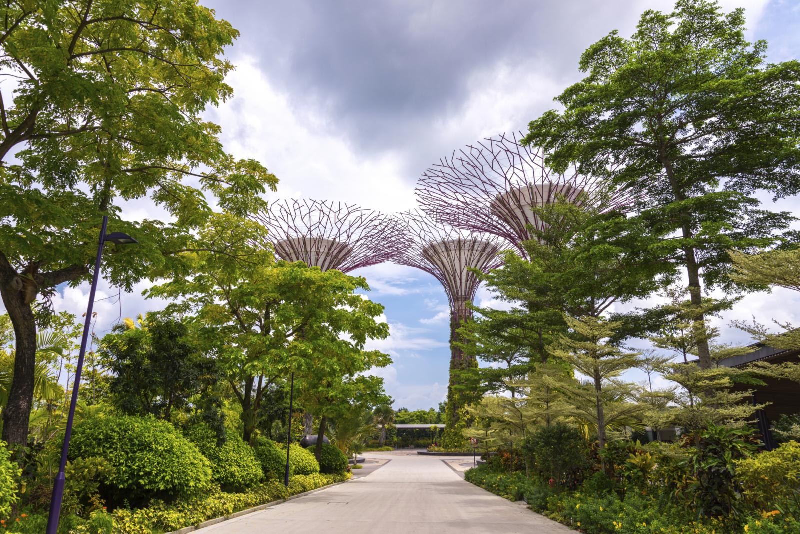 /><br />
<br />
<em>The Supertrees, in Gardens By the Bay, Singapore, incorporate photovoltaic cells that harvest solar energy.</em><br />
<br />
<strong>SINGAPORE</strong><br />
<strong>Strength in education</strong><br />
<br />
When Singapore became independent, 50 years ago, it was a small island with few natural resources, rapid population growth, substandard housing and recurring conflict. Today the WEF Global Competitiveness Index ranks it 2nd most competitive market in the world, it is 1st among OECD countries on science and maths education, and it boasts two out of the world’s top 20 universities according to the <a href=