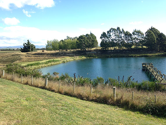  /><br />
<br />
<em>The water that will run through the ZeeWeed trains first runs as a river through New Zealand’s postcard landscapes.</em><br />
<br />
The water for Oamaru water supply comes down the Waitaki River, which comes from the Southern Alps of New Zealand, and comes through several power-generating lakes and recreational lakes, down the Waitaki Valley. From there, an irrigation company takes that water and puts it through some races and … we get it delivered to the north end of Oamaru, through an open race. From there we pump it up to an open reservoir, and that’s where the treatment plan gets its water from. So, to all intents and purposes, it’s the Waitaki River.<br />
<br />
<em>The “100% Pure” boast of New Zealand tourism campaigns is a fair call in terms of the country’s breathtaking beauty, but Oamaru’s&nbsp;</em><a href=