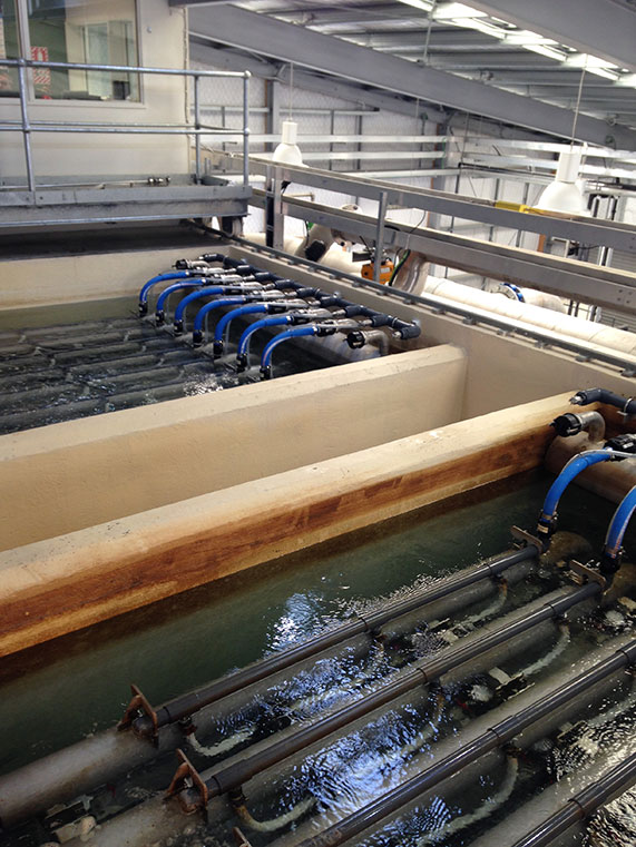  /><br />
<br />
<em>The newly-installed&nbsp;trains&nbsp;at the Waitaki District Council’s water-treatment plant.</em><br />
<br />
<em>The council empowered Goldingham and his team to&nbsp;manage the upgrade.</em><br />
<br />
Our exec team let us make decisions, and let us be quite risky in how we ran those old membranes to get that extra life out of them. We had great support from our managers to make good decisions, and that was a really important aspect of the whole upgrade.<br />
<br />
The professionalism of GE has helped in all this, from the initial conversations and that followed right through the project. It’s not that there have been no problems, but any problem we’ve come across, they’ve been solved, professionally.<br />
<br />
<em>Waitaki Council also added GE’s Industrial Internet-driven&nbsp;</em><a href=
