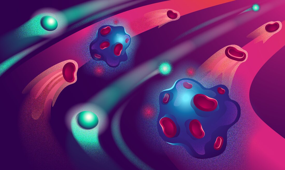 "Distracting" the immune system allows the prolonged circulation of therapeutic treatments.