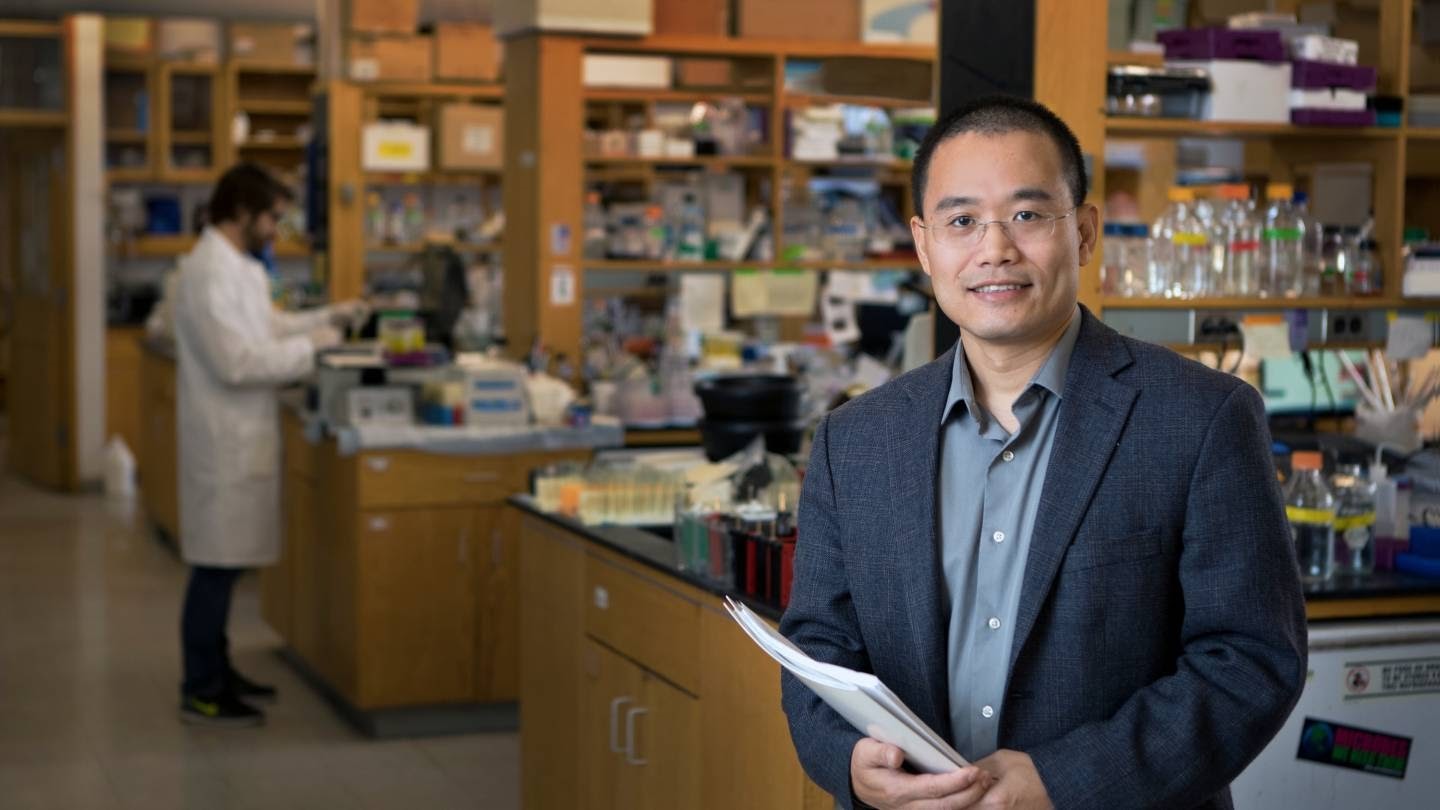 Yibin Kang – Giáo sư sinh vật học ung thư (ảnh chụp trong phòng nghiên cứu của ông vào năm 2017) đã cùng nhóm nghiên cứu của mình vô hiệu hóa thành công một gen liên quan đến sự lây lan của ung thư. Ảnh: Denise Applewhite, Văn phòng Truyền thông Đại học Princeton.
