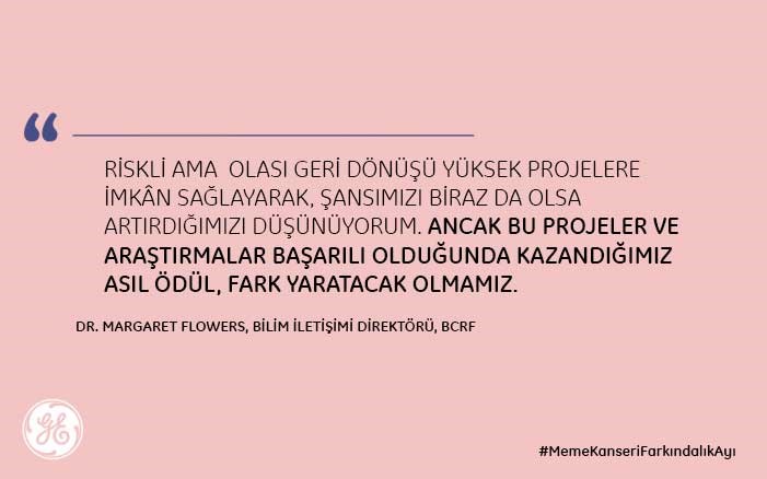GE Sağlık