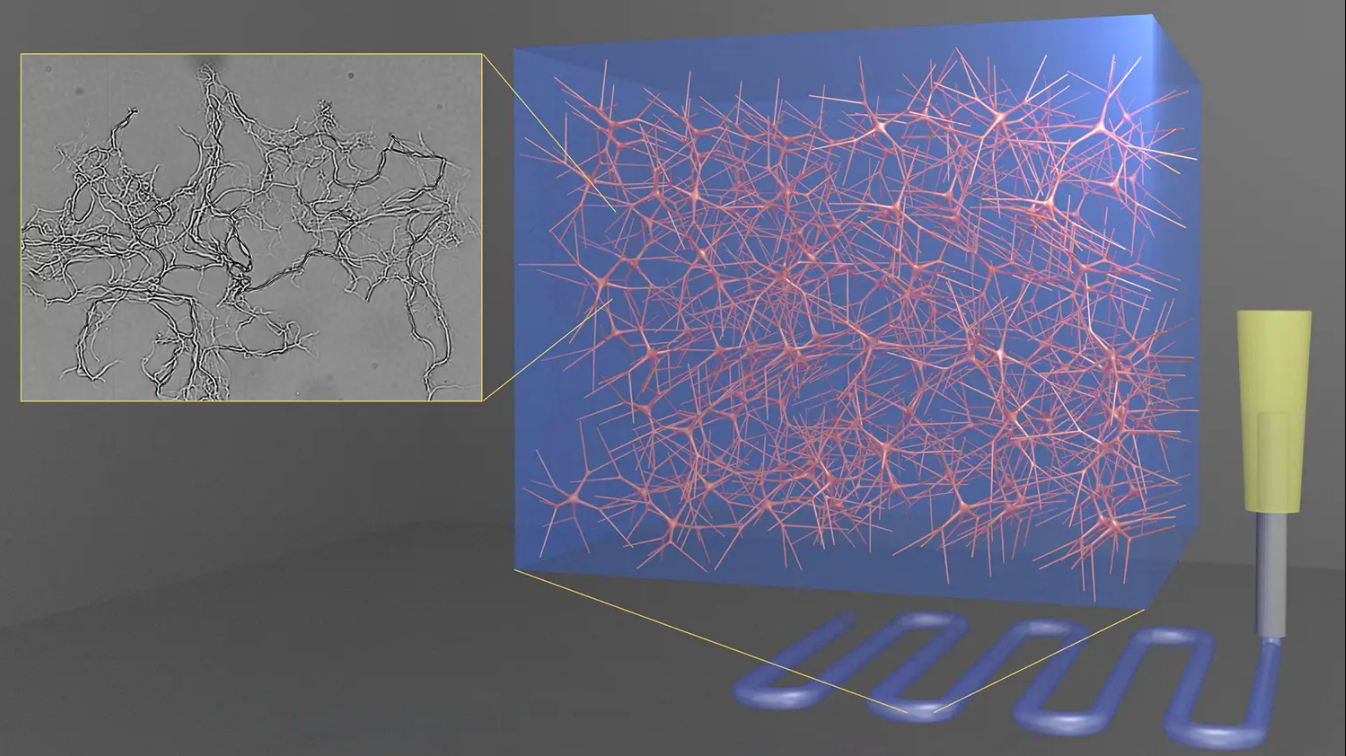 homocomposite hydrogel