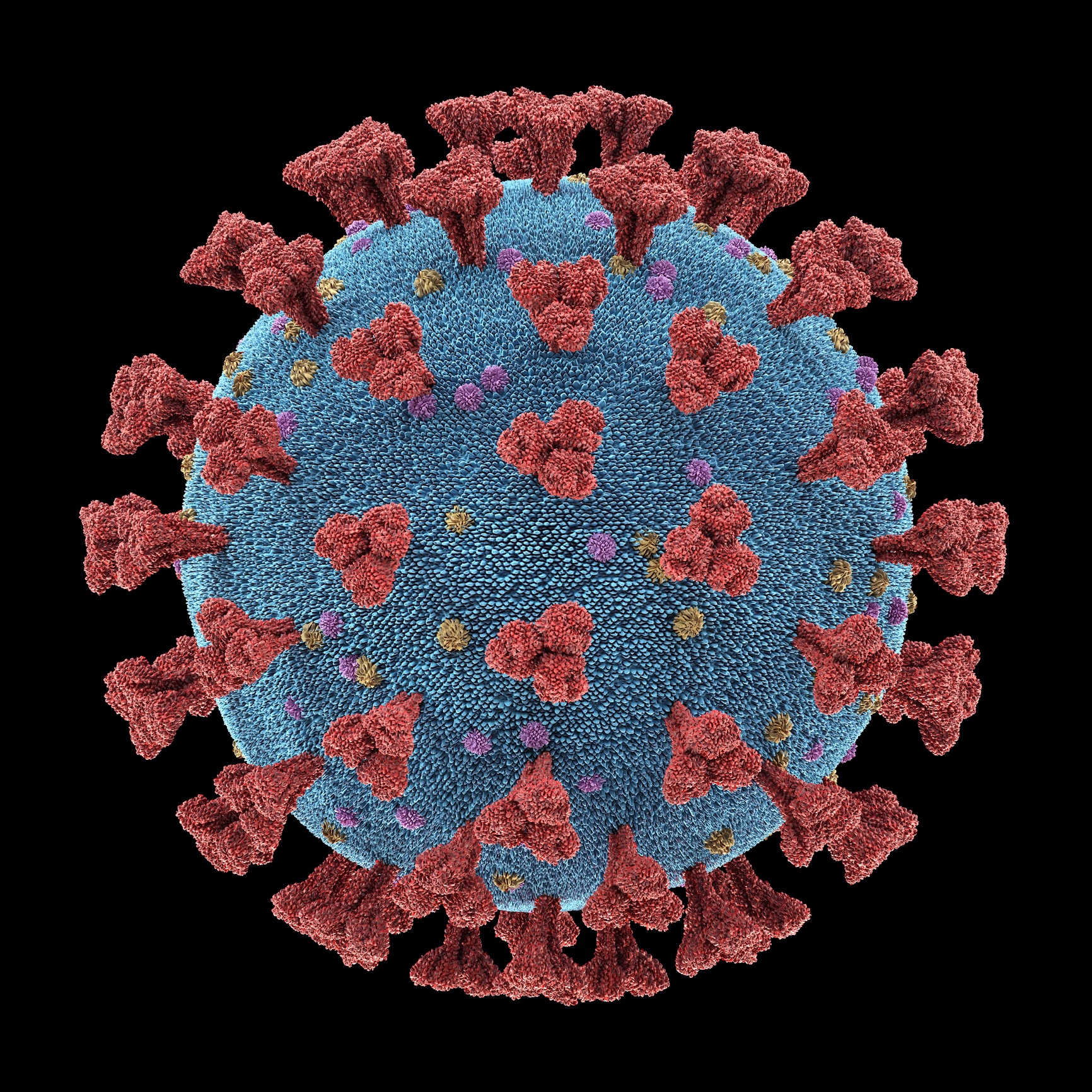 Illustration of the COVID-19 spike protein