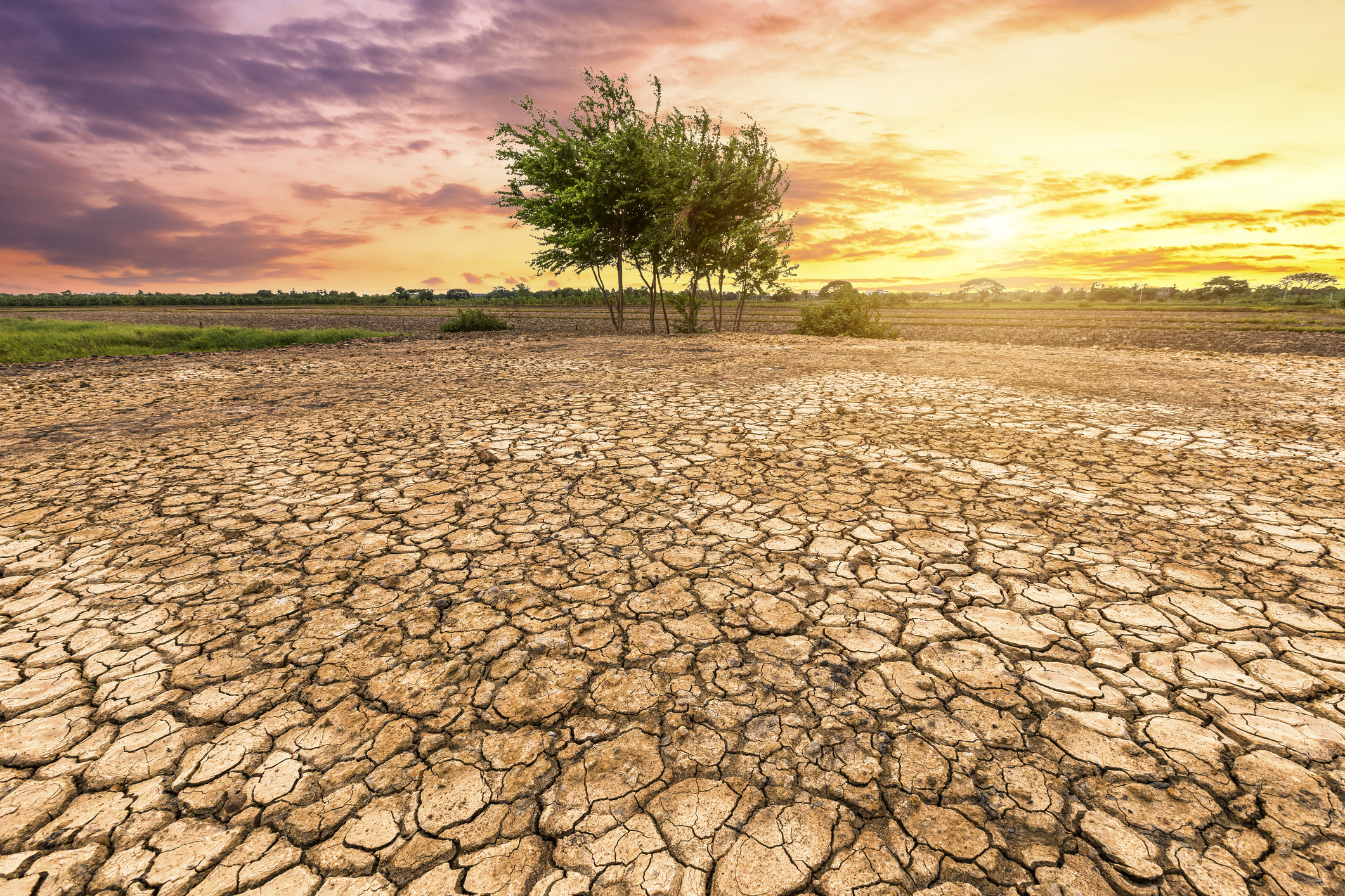 parched earth