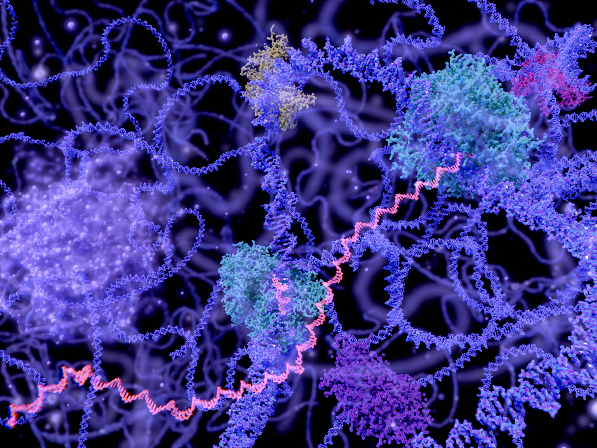 DNA mRNA Getty Images