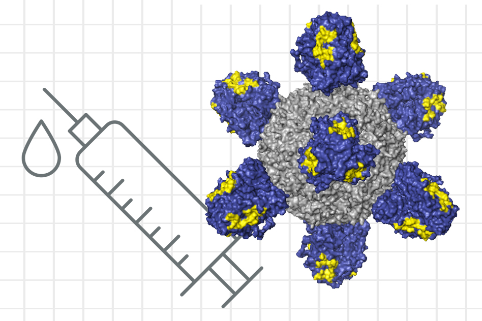 Illustration of a flu virus and a syringe