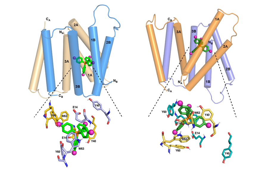 MIT Resistance Mechanism