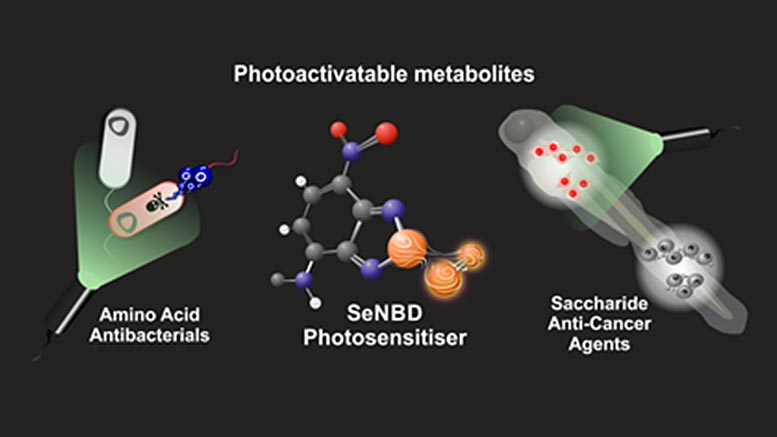 Photoactivatable Metabolites