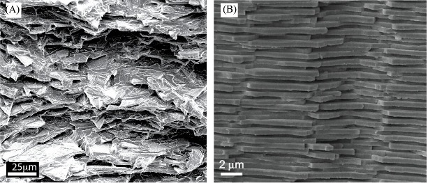 The microstructure of a glass-acrylic composite (left) was inspired by that of seashell nacre (right), better known as mother of pearl. Image credit: McGill University.