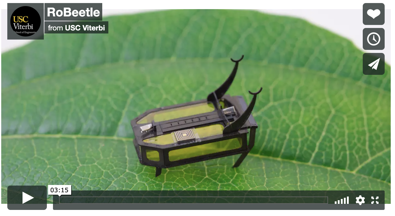 Screenshot of video explaining the RoBeetle
