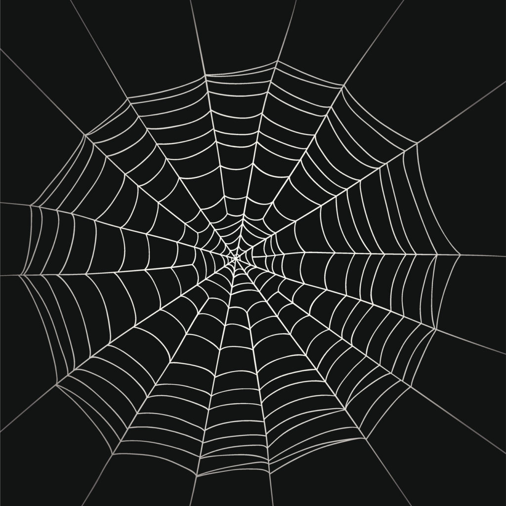 Spider web