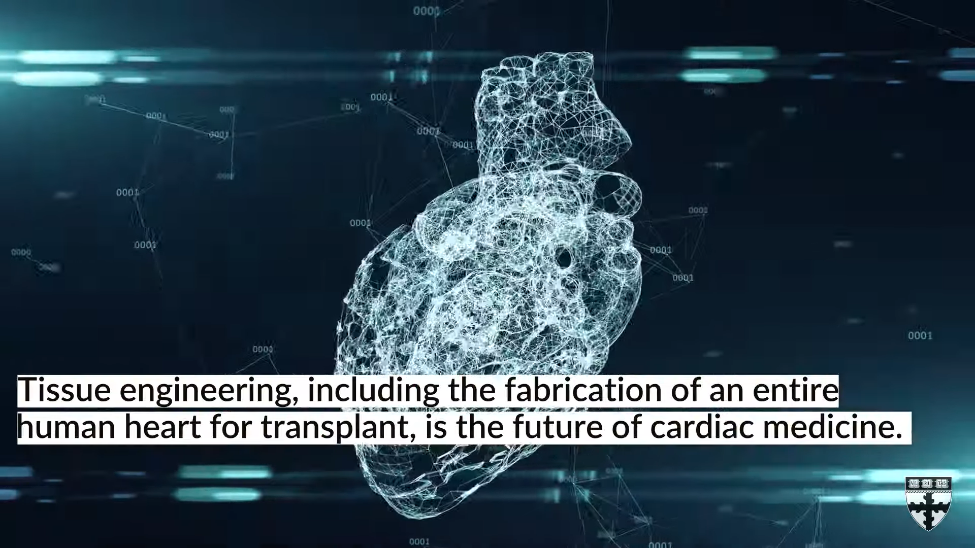 Video link: https://youtu.be/ZaSRH2AaTiQ