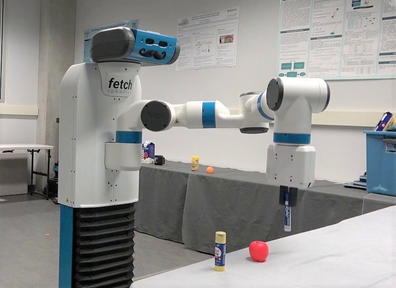 Dementia robot