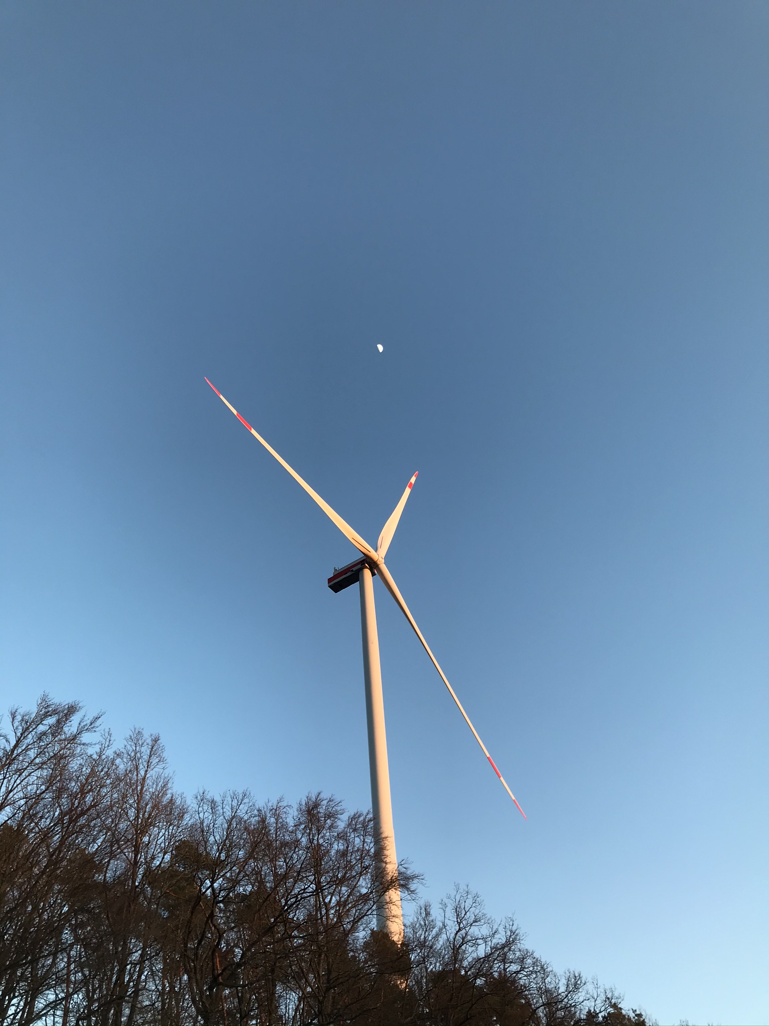 Rising Tree Wind Farm