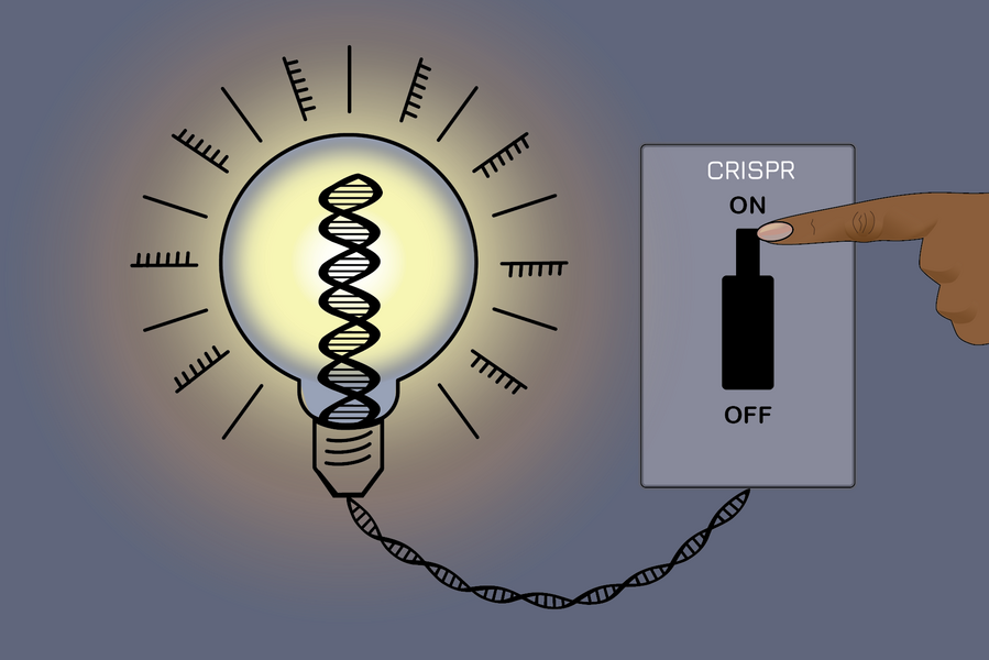 CRISPR gene switch