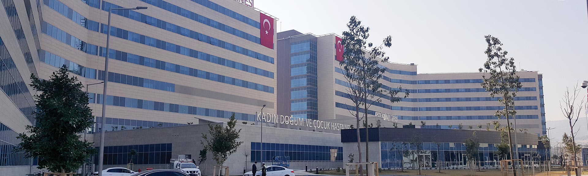 image_image