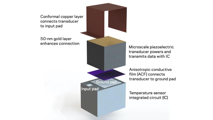 injectable chip system