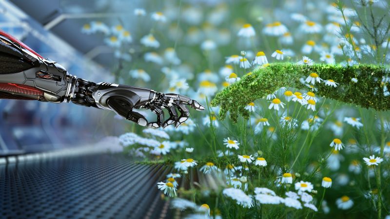 Robotic and natural hands touching