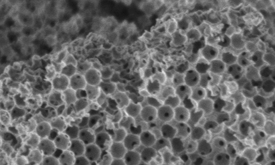 Microscopic image of the porous ceramic sponge