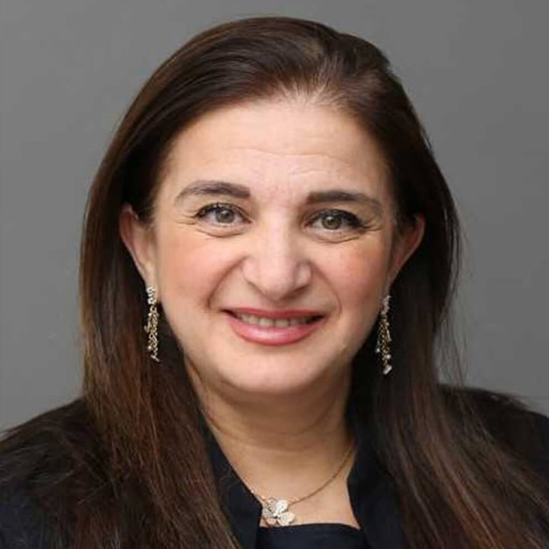 Roxana Mehran