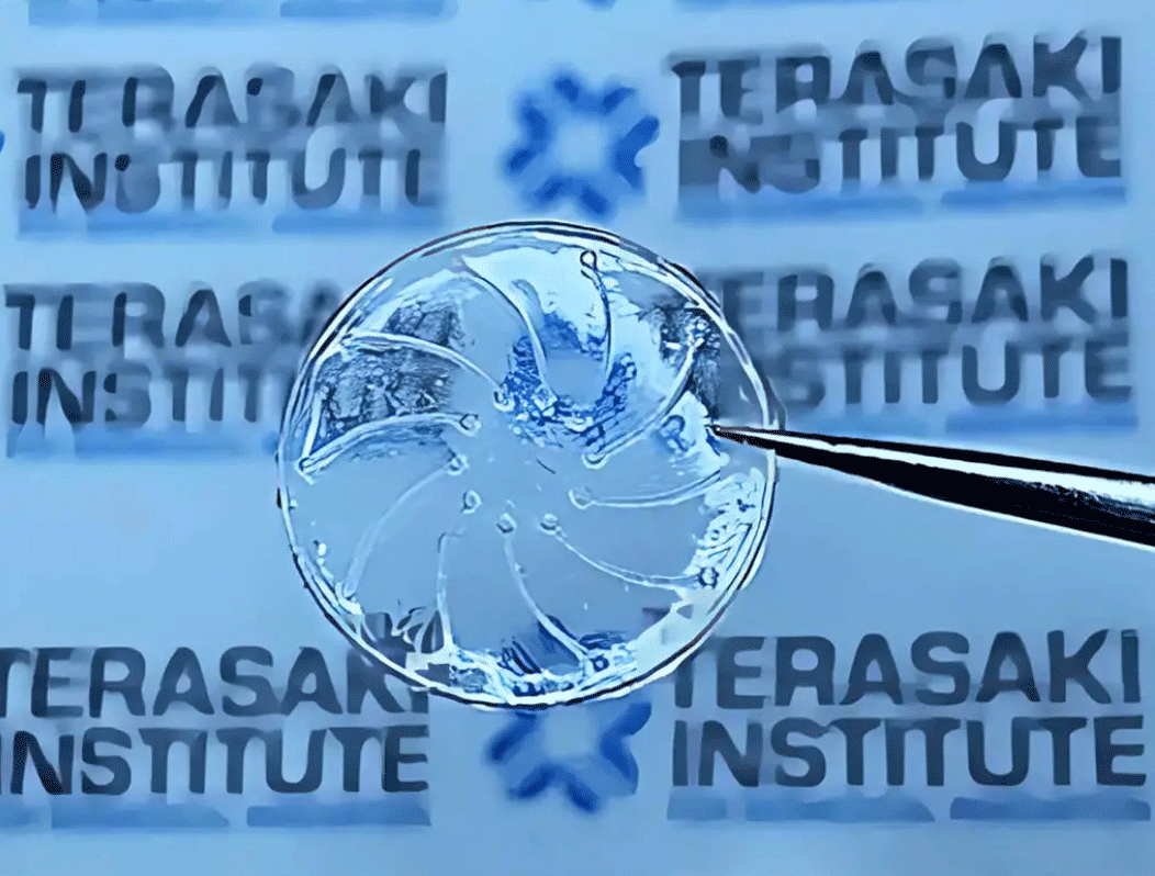 Terasaki contact lens