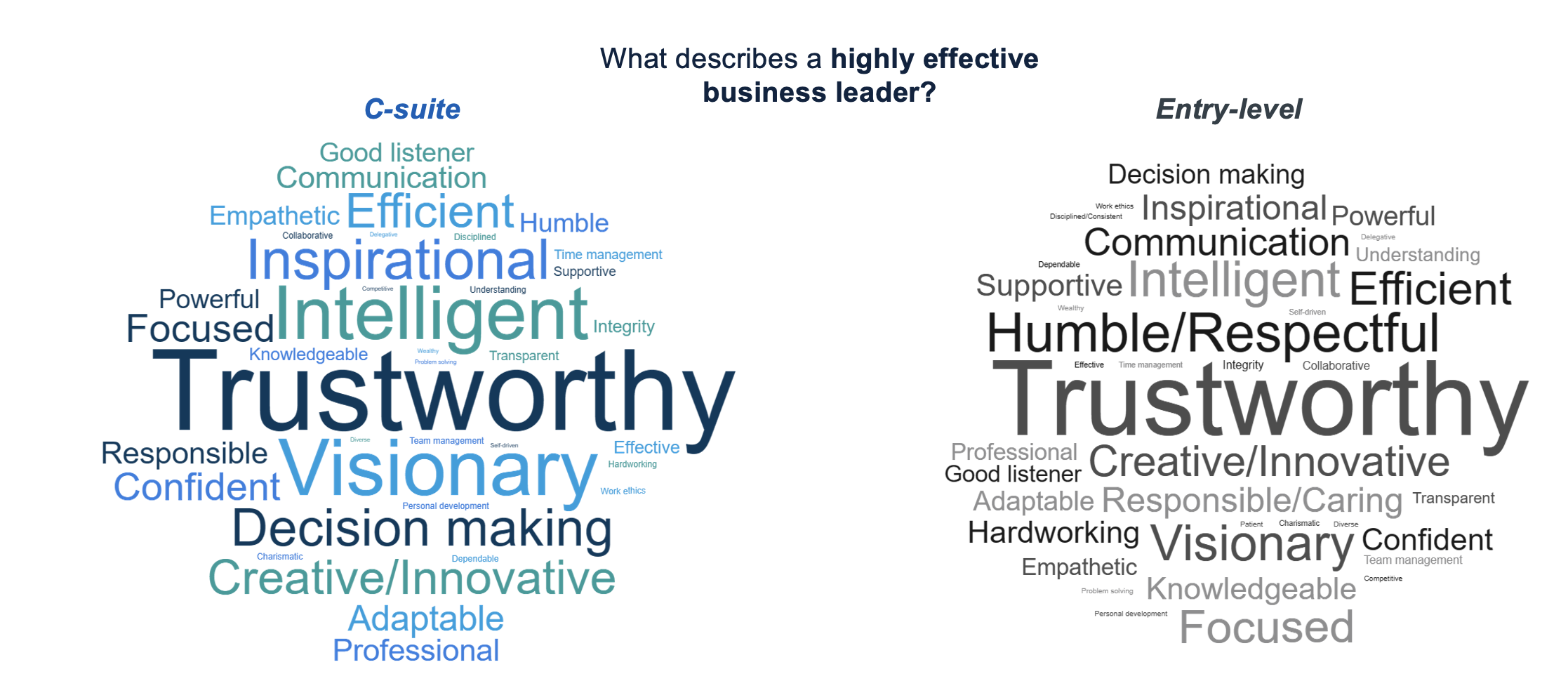 Wordmap describing a highly effective leader